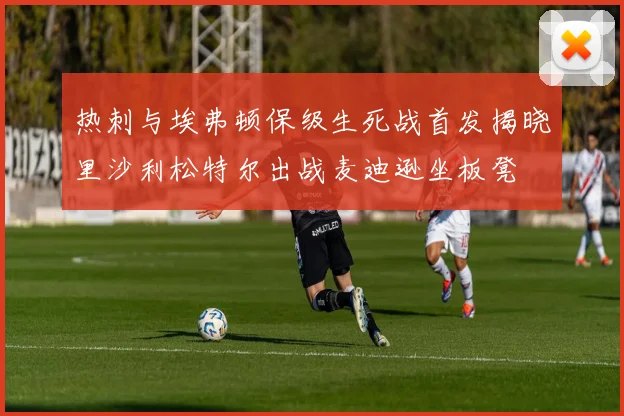 热刺与埃弗顿保级生死战首发揭晓里沙利松特尔出战麦迪逊坐板凳