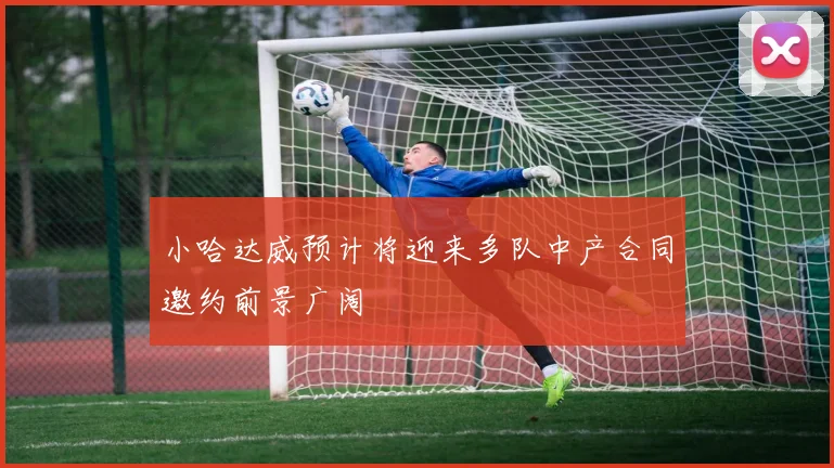 小哈达威预计将迎来多队中产合同邀约前景广阔
